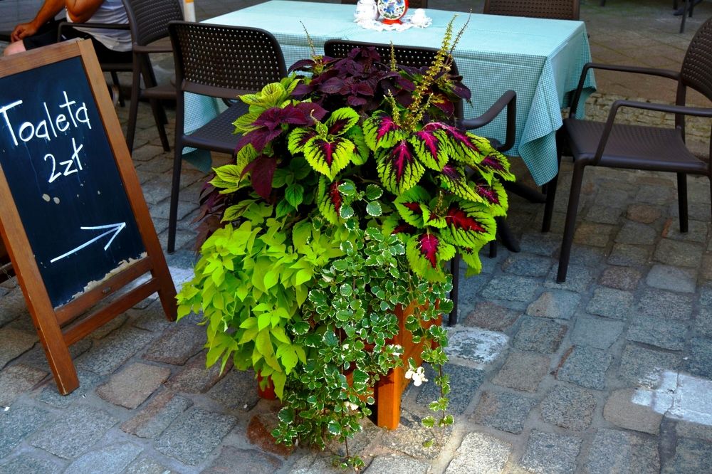 В кафе в Гданьске.