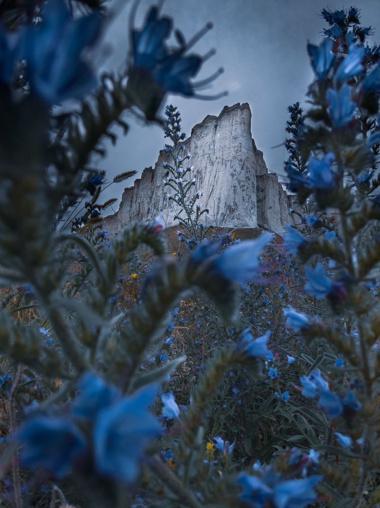 Photograph by Андрей Кривцов