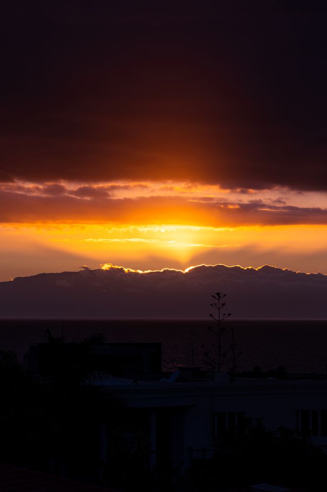 Photograph by Vialeta