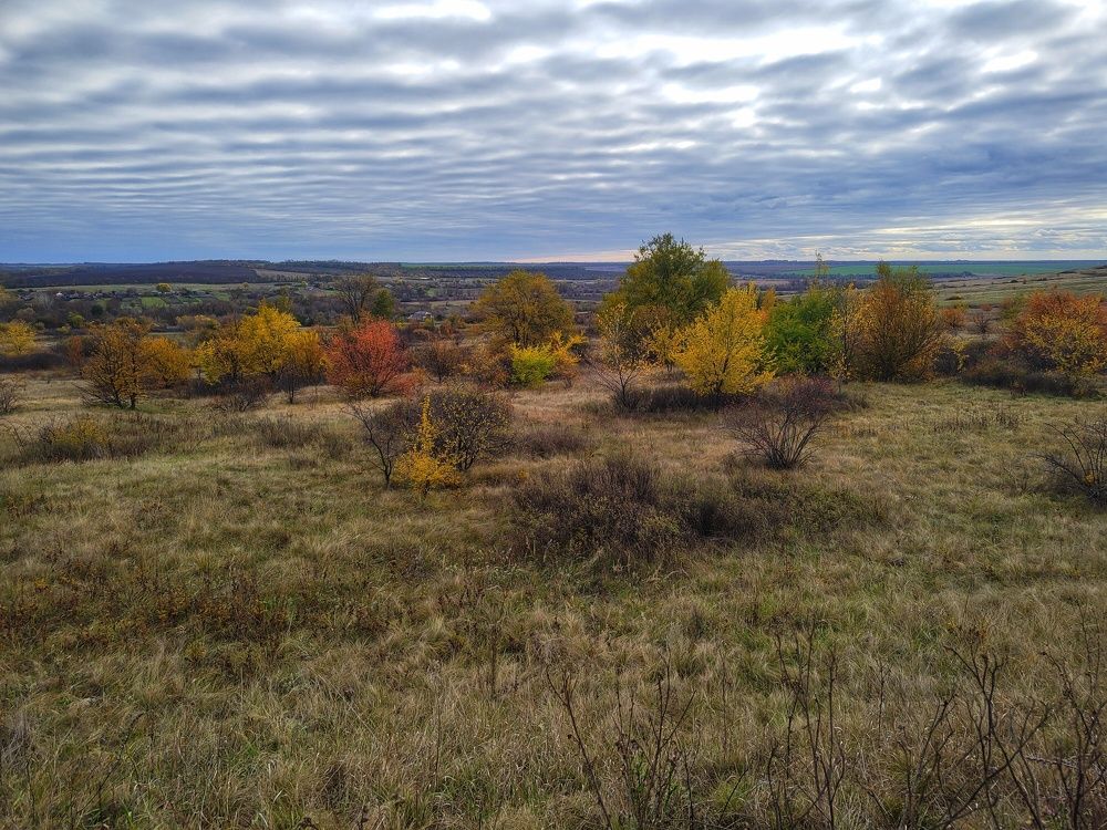 Photograph by Дмитрий Головко
