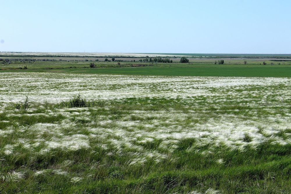 Photograph by Юрий Варюхин