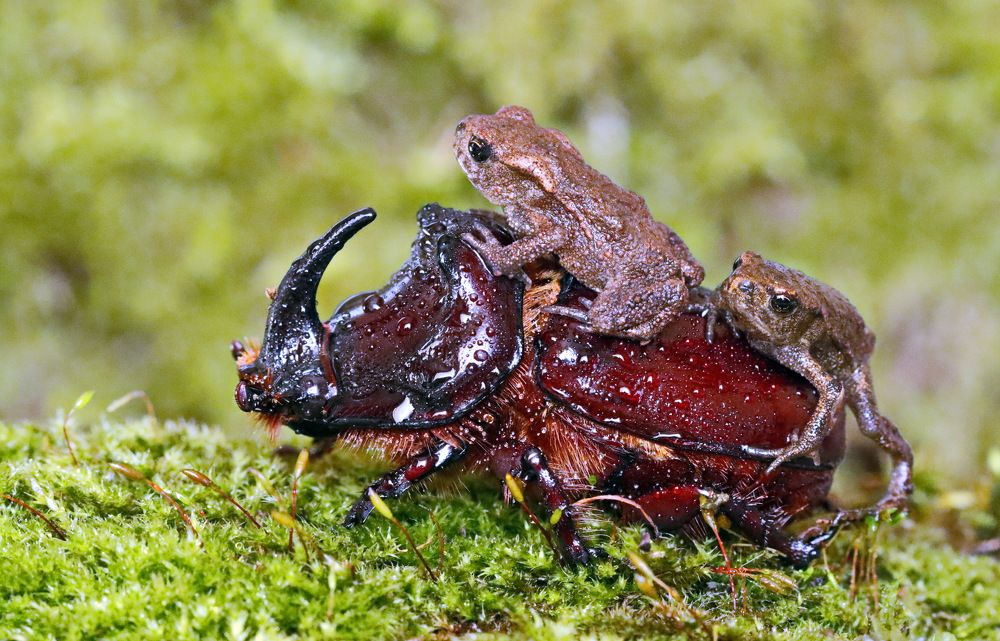 Photograph by Сергей Маслов