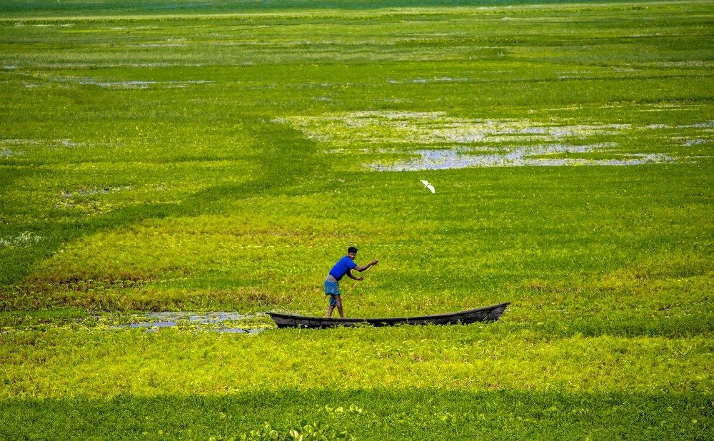 Photograph by Rayhan Ahmed