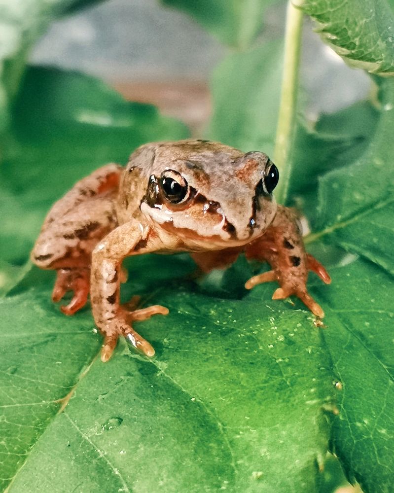 Photograph by Ирина Ветюгова