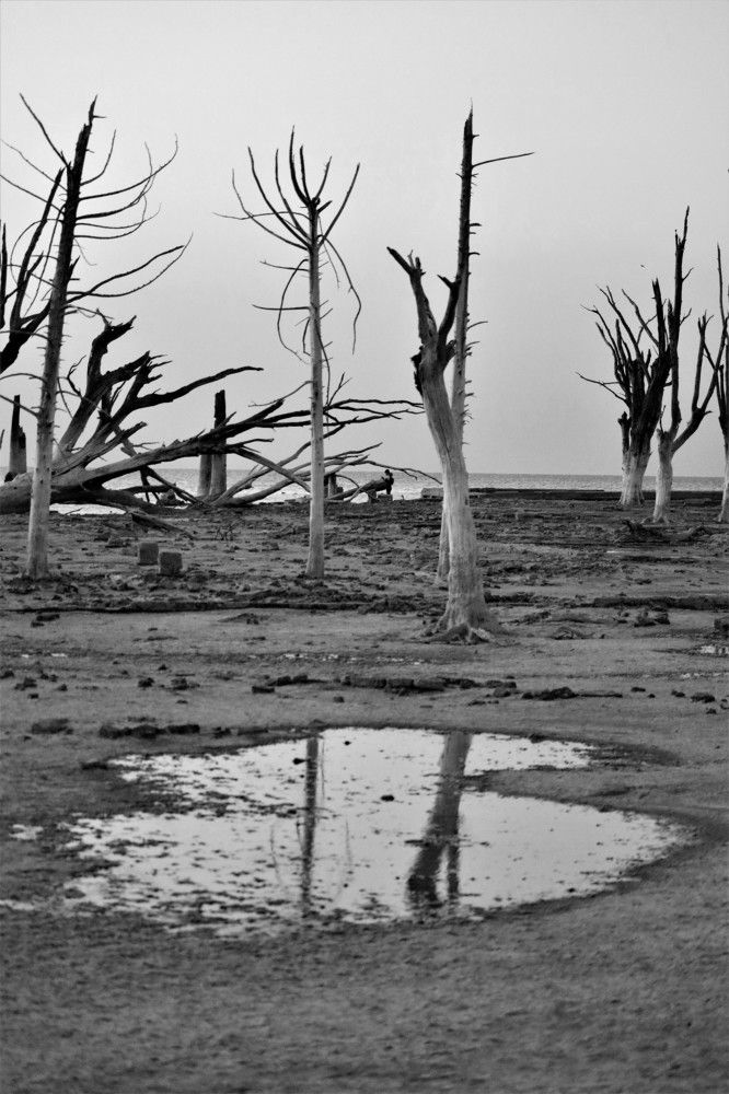 Photograph by Patricia Delionardis