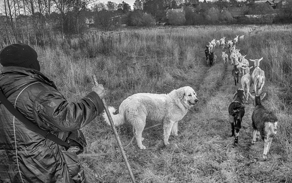Фотография автора Виталий Подгурченко