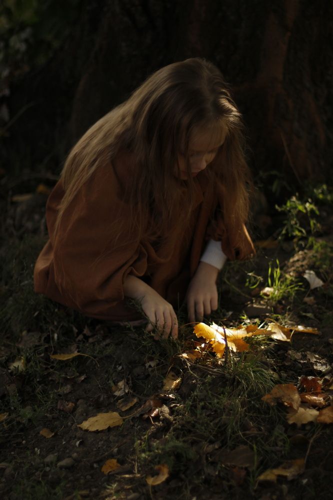 Лучик солнца в листве.