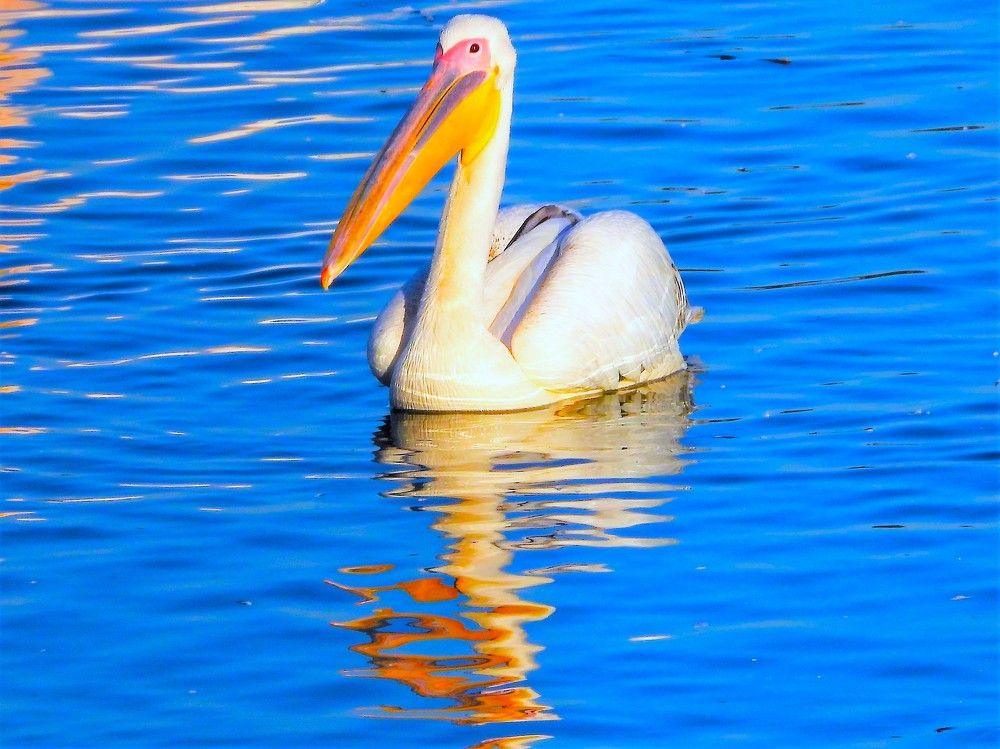 Photograph by Tamir Mor