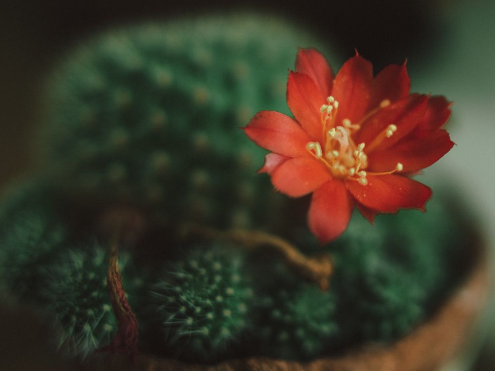 Photograph by Елена Подшевалова