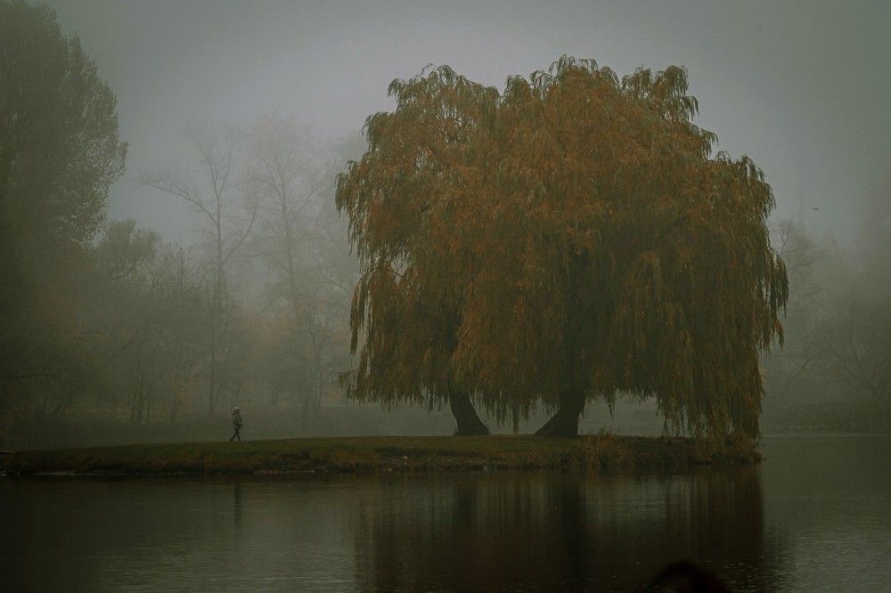 Photograph by Андрей