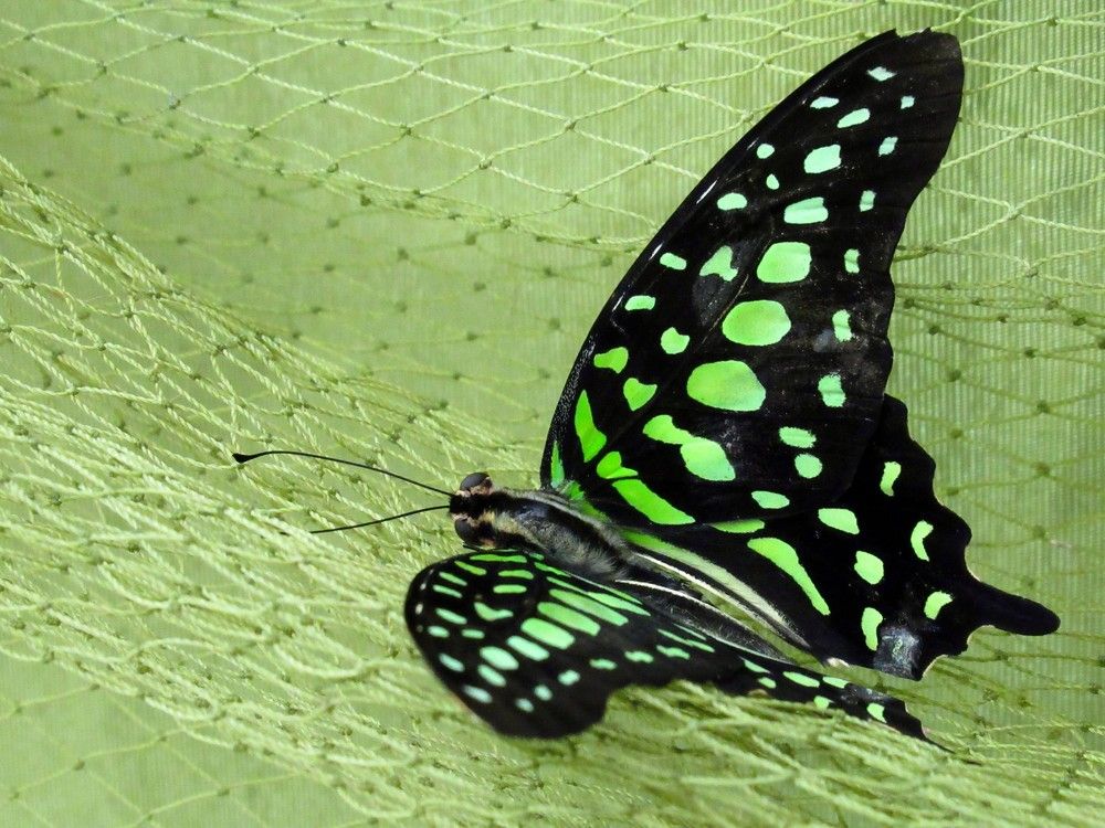 Photograph by Ольга Березовская