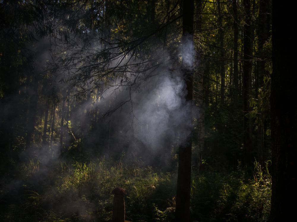 Photograph by Сергей Анатольевич