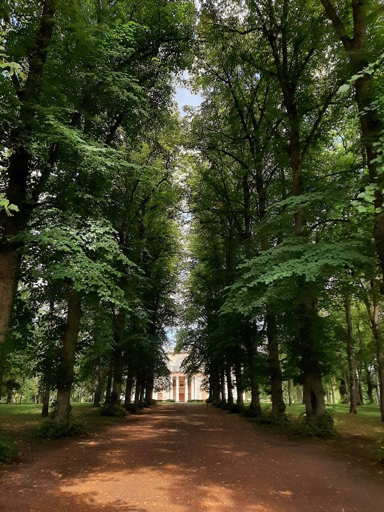 Photograph by надежда плавник