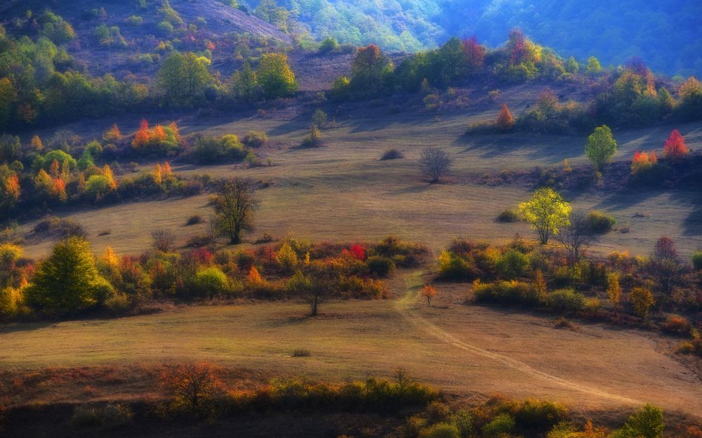 Фотография автора Асрян Севак