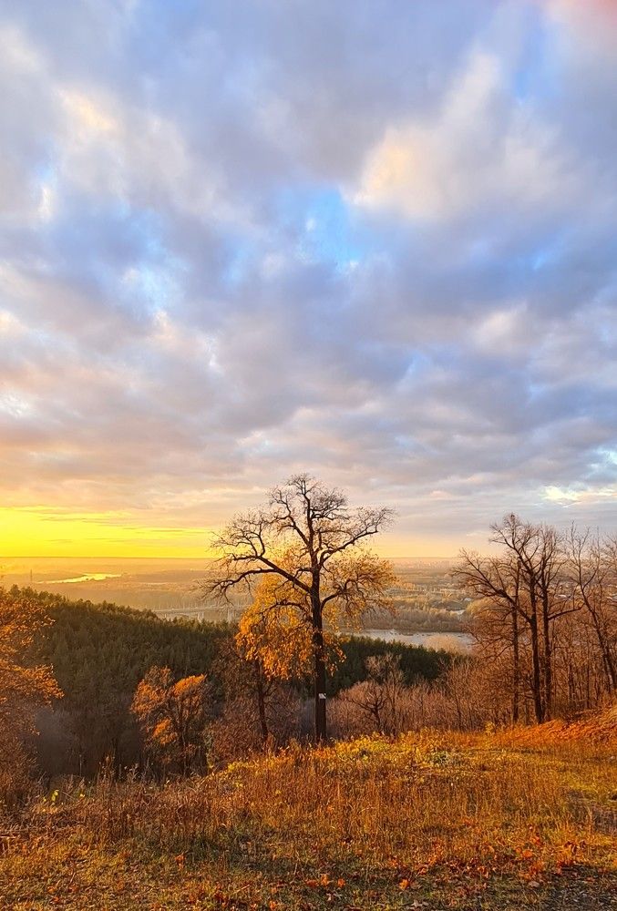 Вид на Сафроновский мост