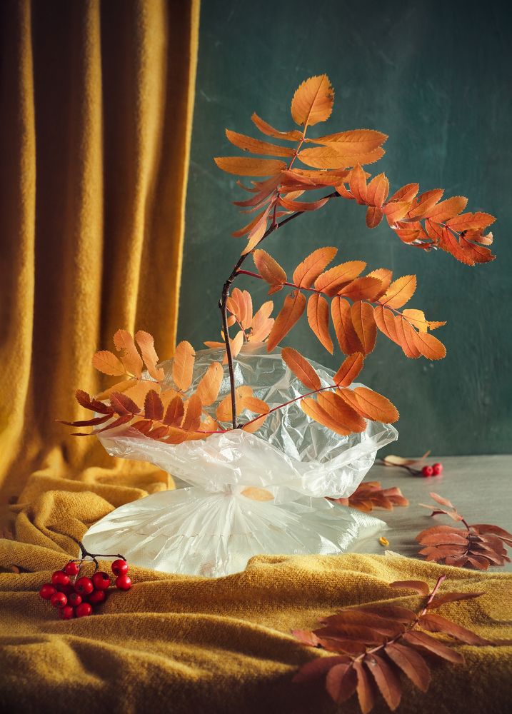 Photograph by Юлия Яремко