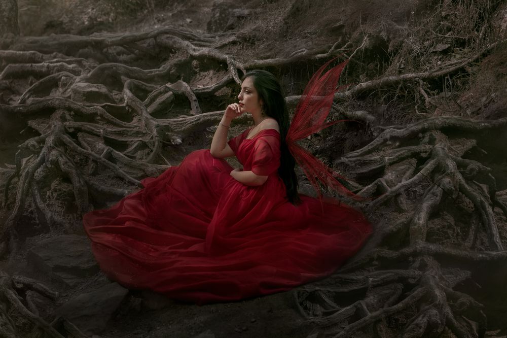 Photograph by Telma Martins