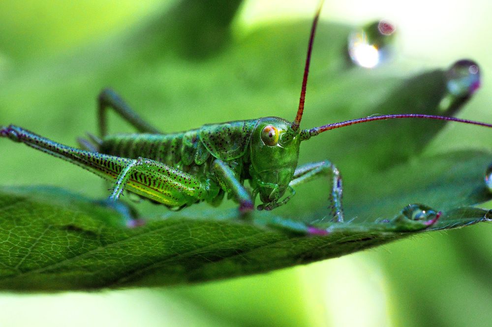 Photograph by sasha yudin
