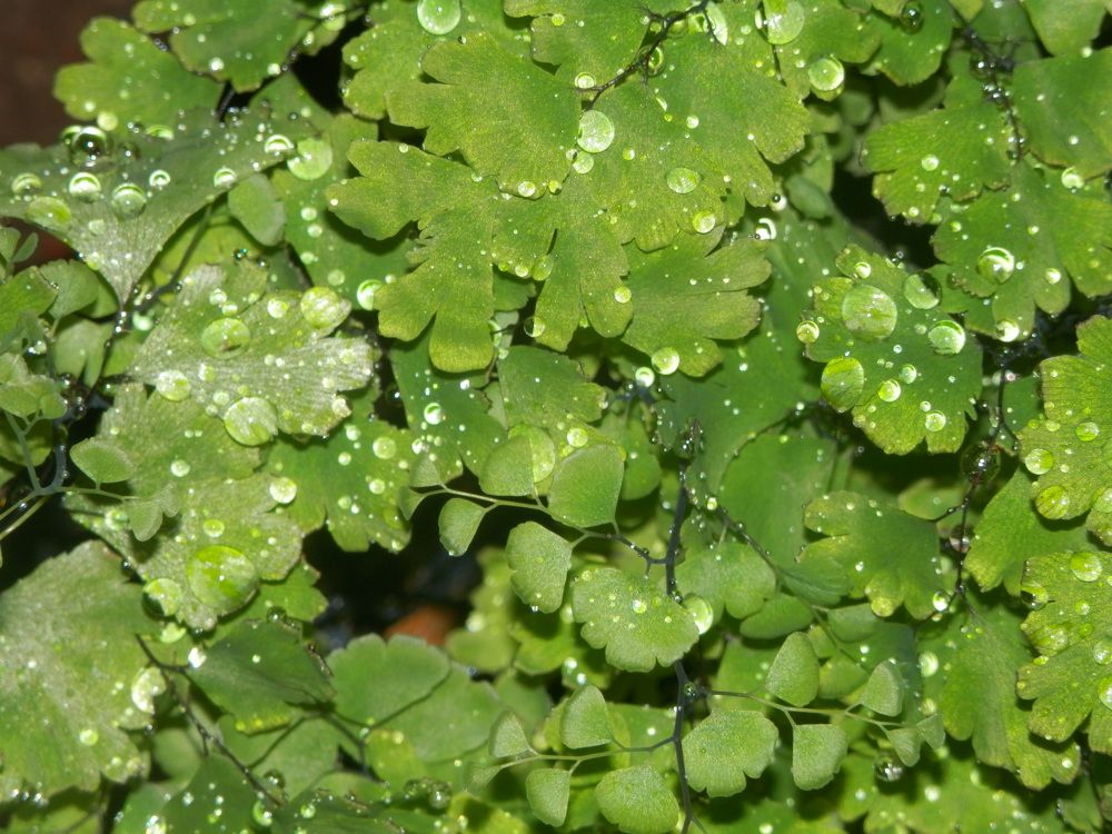 Photograph by Георгий Салюков