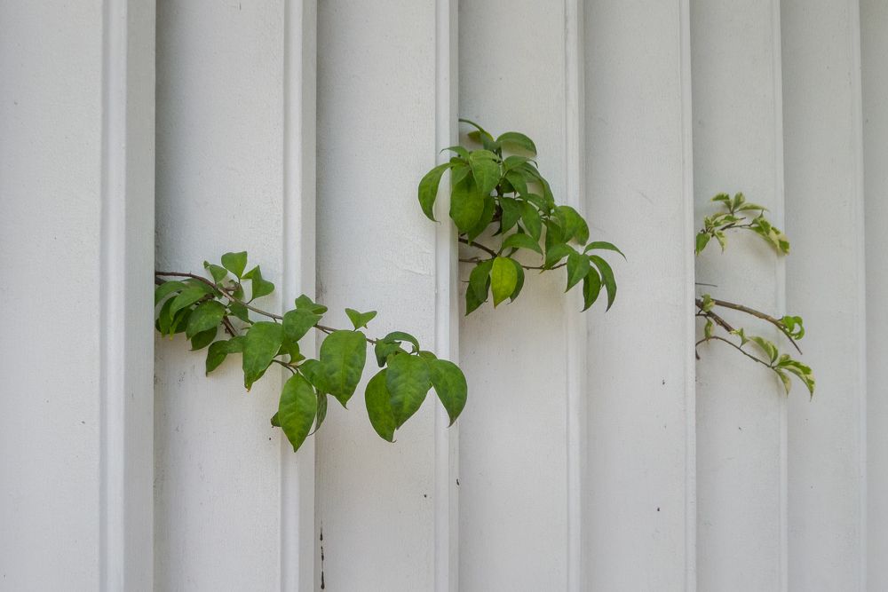 Photograph by dito adithia