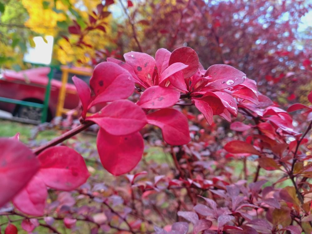 Photograph by Марина Храпова