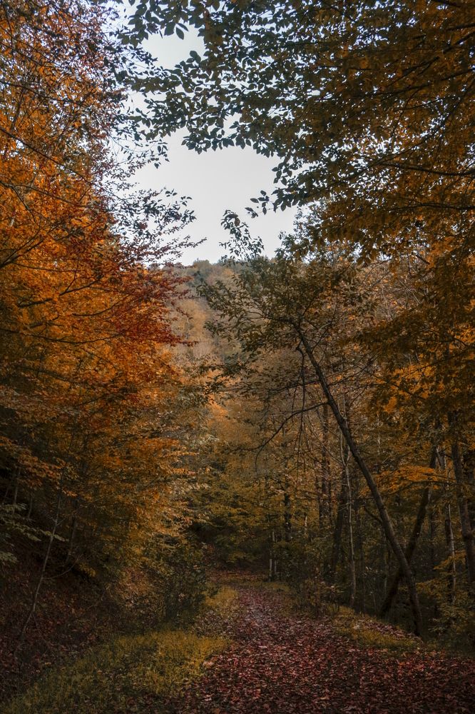 Photograph by farshid ashkar