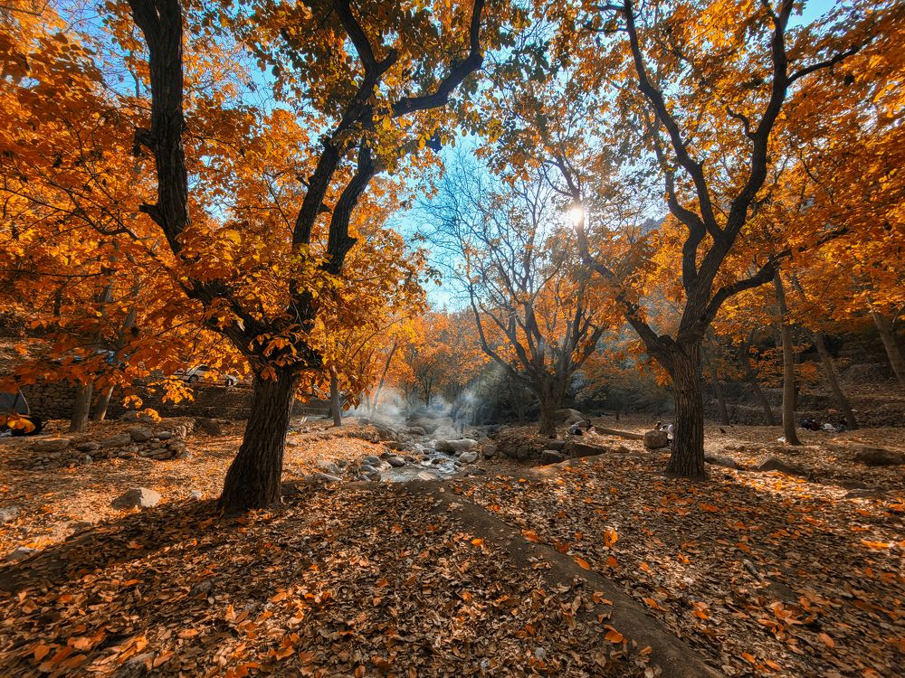 Photograph by farshid ashkar