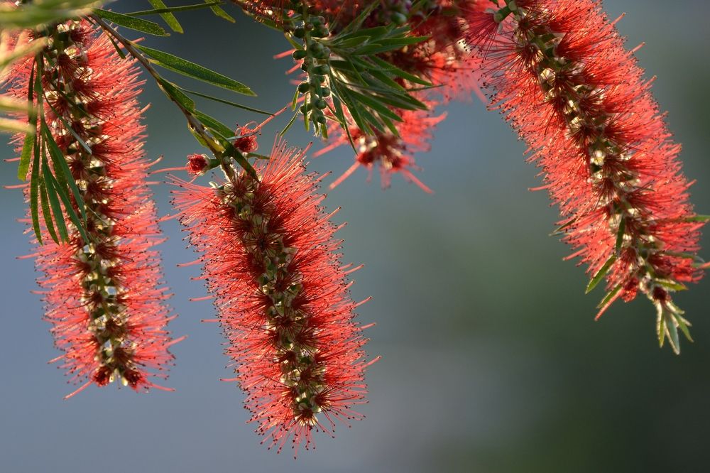 Photograph by Игорь Двойных