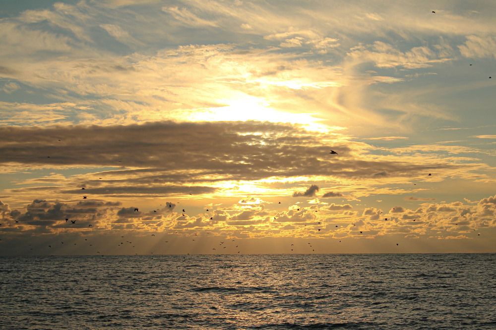 Photograph by Елена Лотник