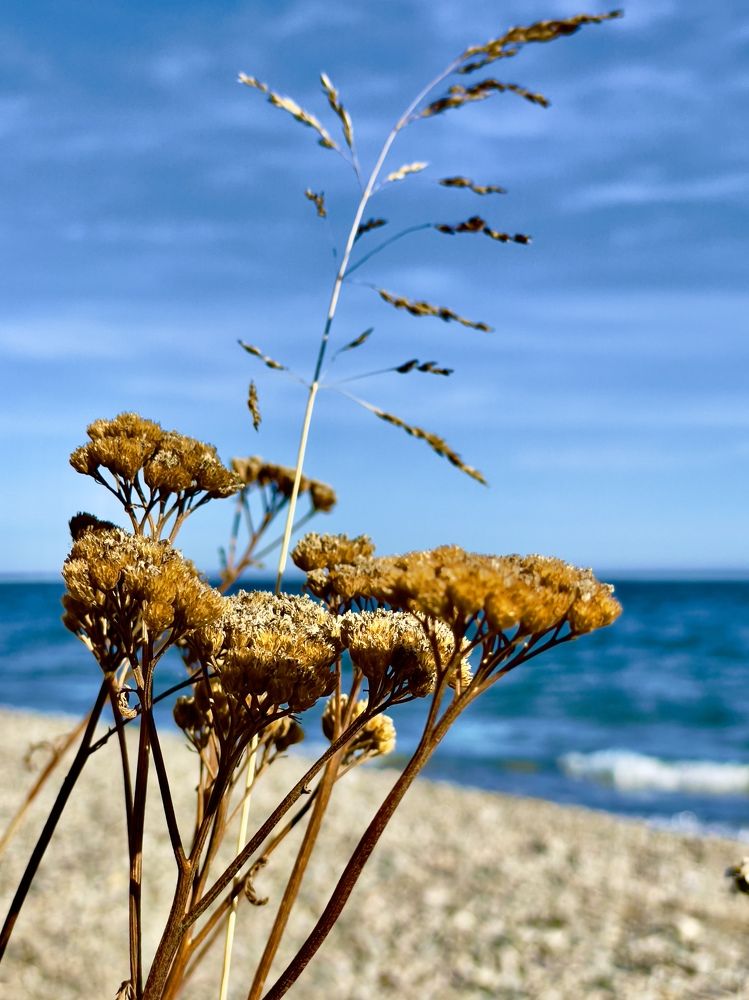 Photograph by Тимур Жилкибаев