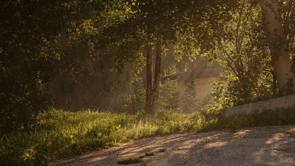 Photograph by Валентина Лугачева