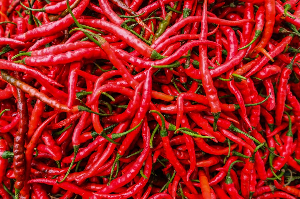 Photograph by dito adithia