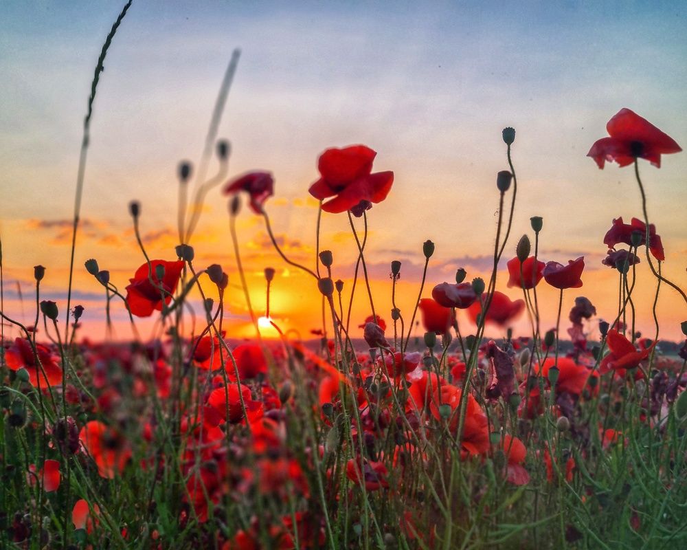 Photograph by Татьяна Соколовская