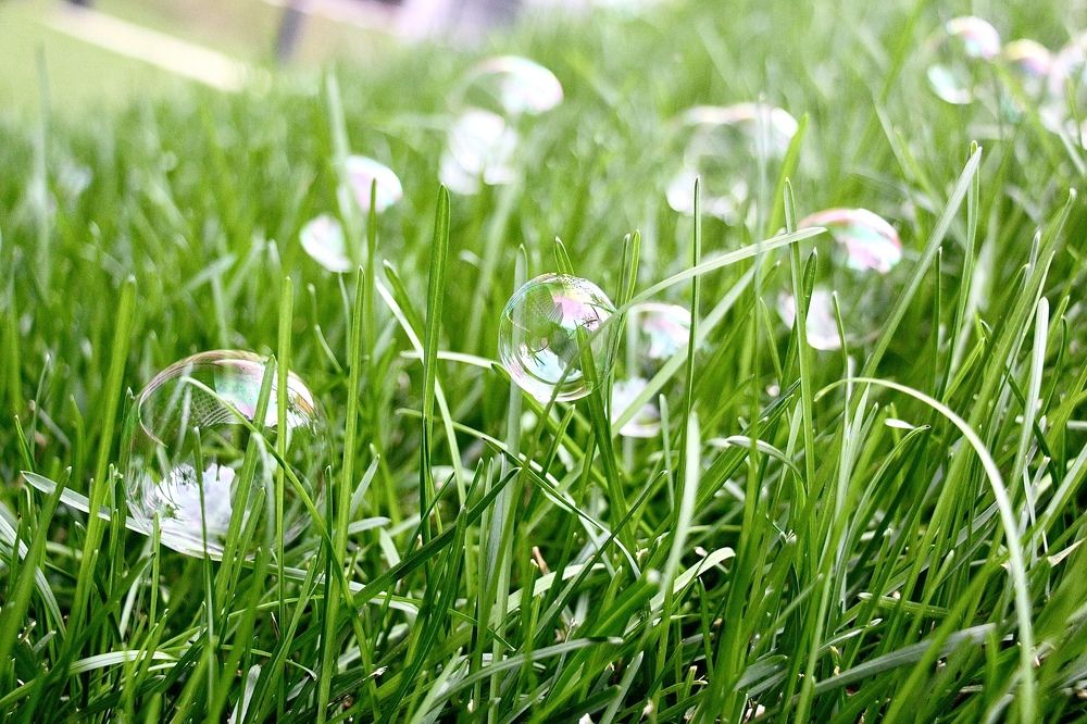 Photograph by Максимов Петр