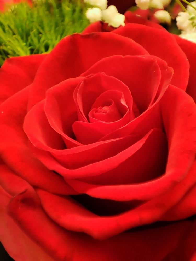 Photograph by Елена Горева