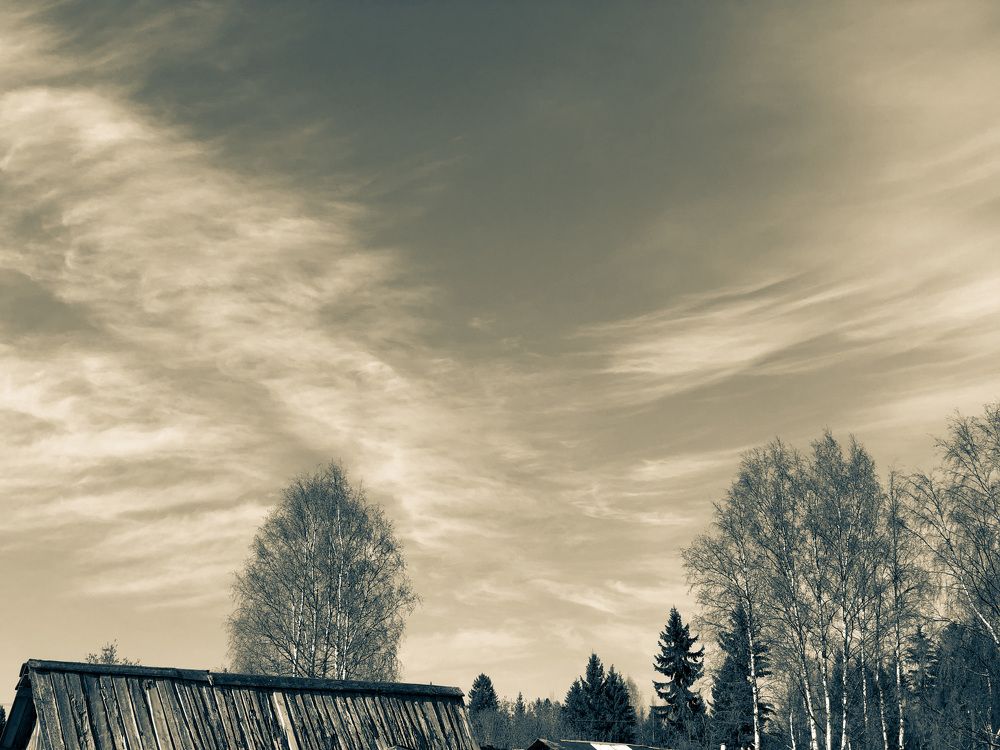 Photograph by Олеся Семёнова