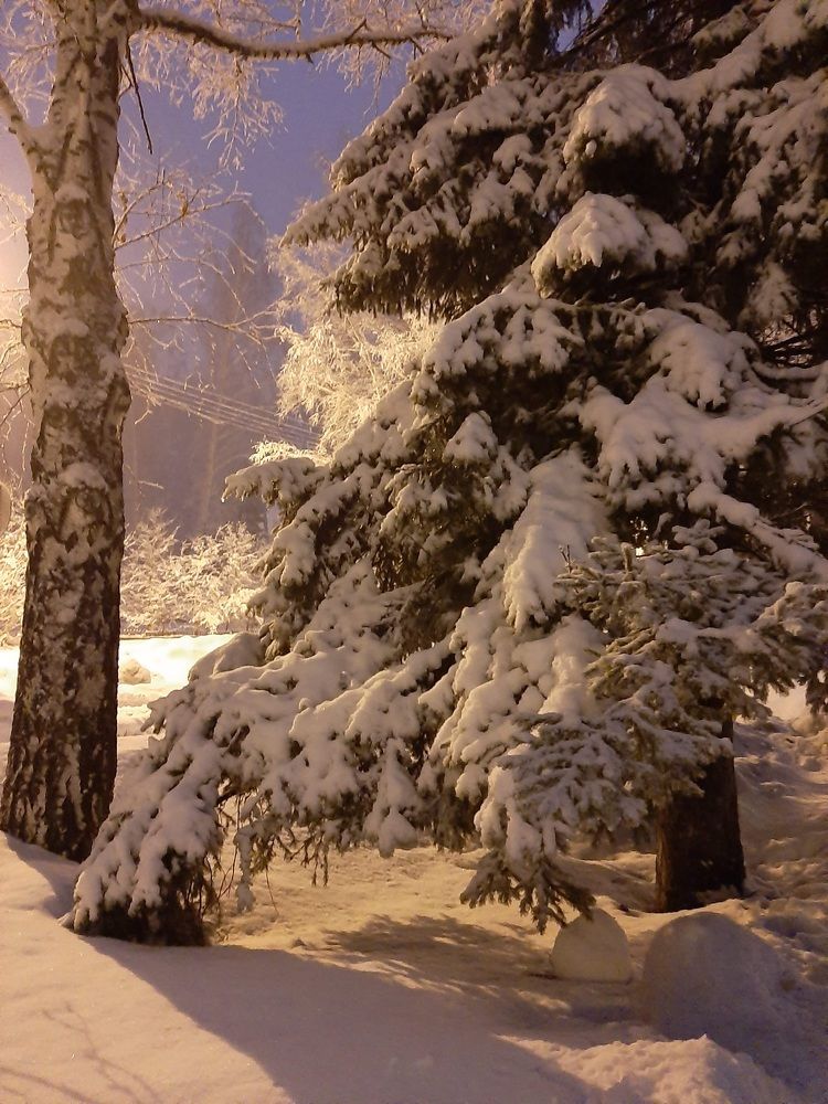 Photograph by Елена Горева