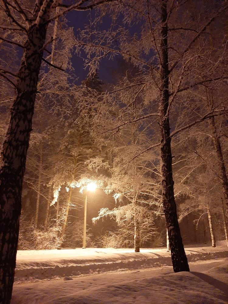 Photograph by Елена Горева