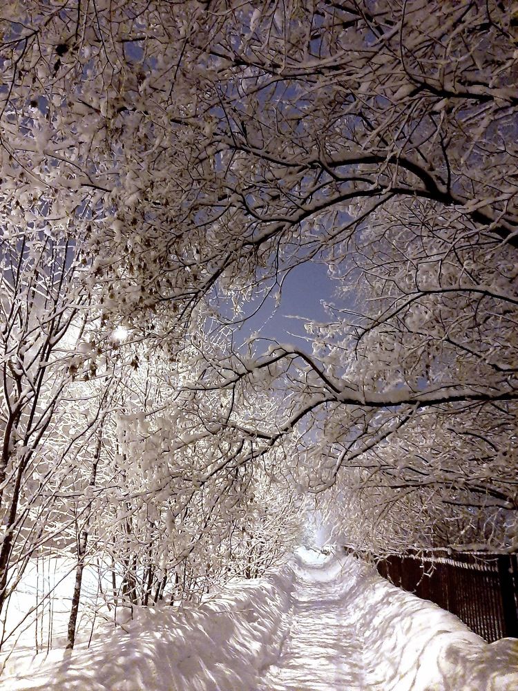 Photograph by Елена Горева