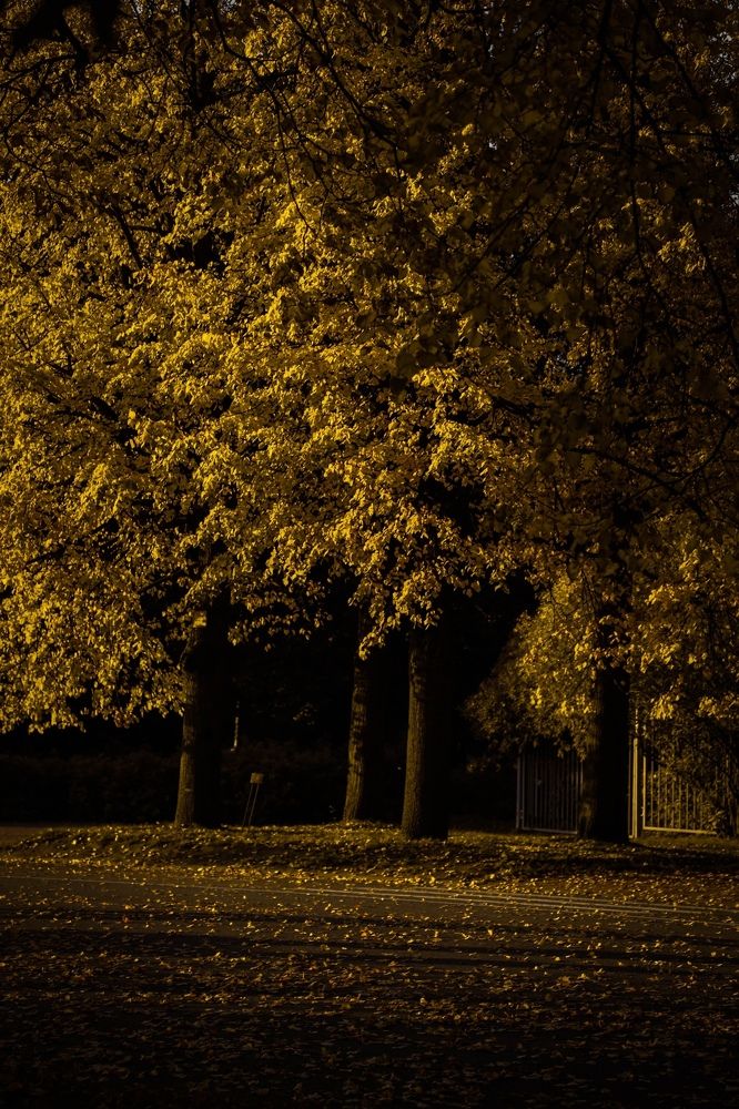 Photograph by Мария Макаренко