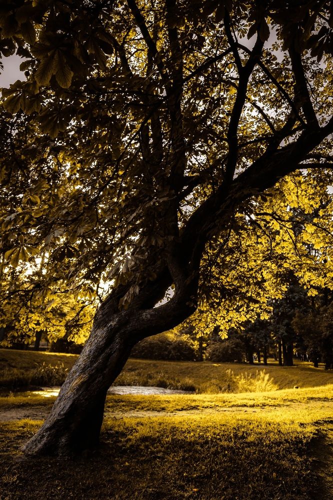 Photograph by Мария Макаренко