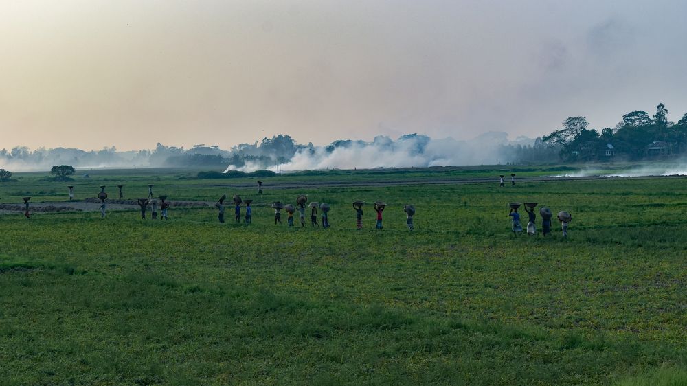 Фотография автора Mahbuba Afroz Samia