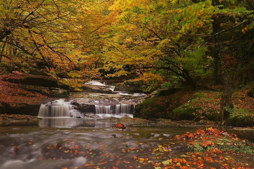 Photograph by Süleyman Ülker