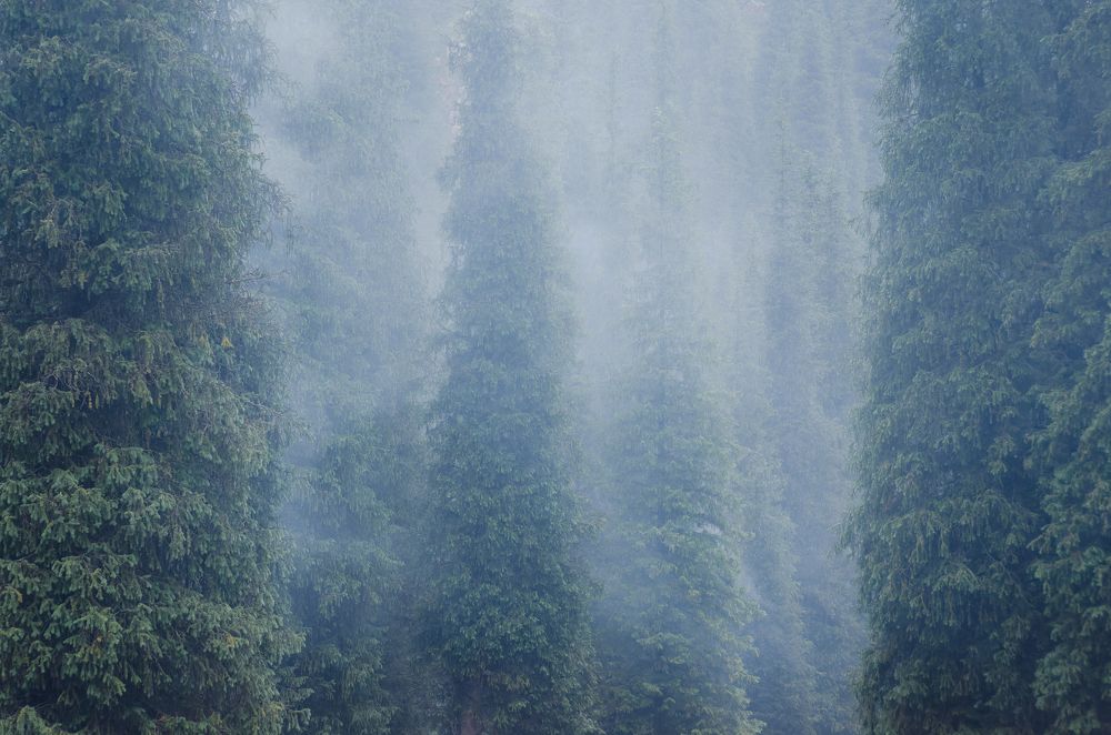 Photograph by Кирилл Савенко