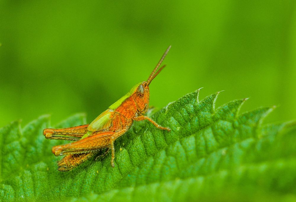 Photograph by Олеся zme