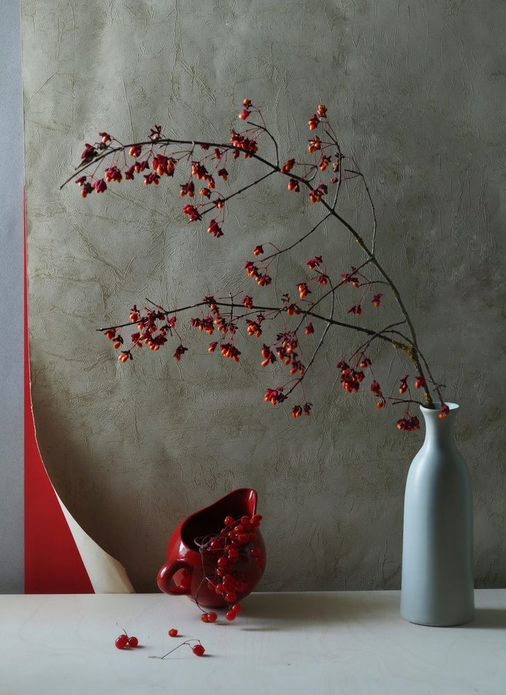 Photograph by Екатерина