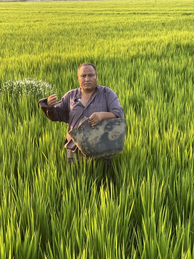 Photograph by  loai zedan