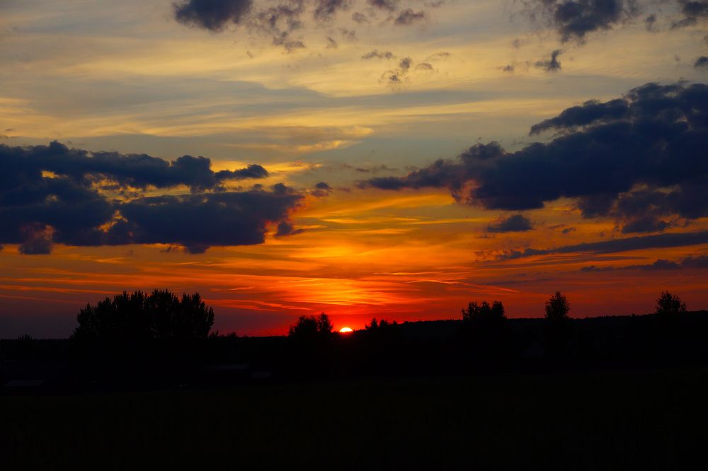 Photograph by Светлана Свешникова