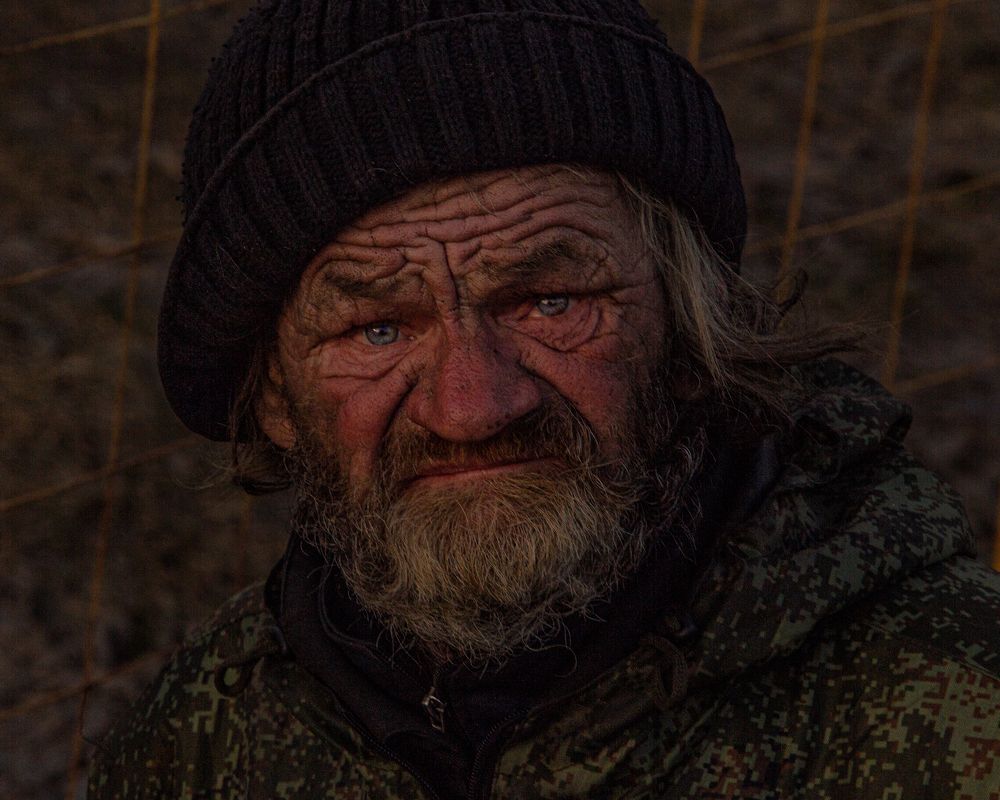 Фотография автора Елена Кошкина