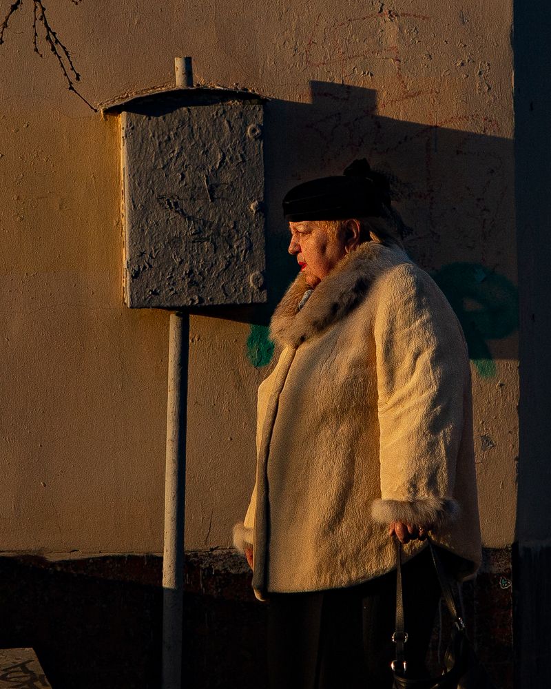 Фотография автора Елена Кошкина